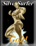 Silver Surfer Gold Award