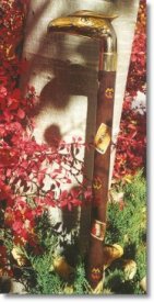 Wooden Canes with Stamp theme designs