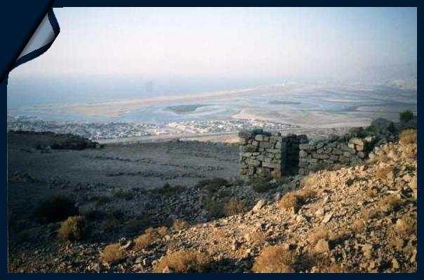 pic4.jpg (42206 bytes)