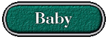 Baby Tag
