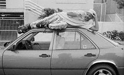 Fresh Prince on top of a car...