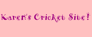 Karen's Excellent Cricket site!