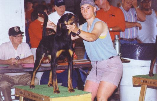 blackBT2000.JPG (30954 bytes)