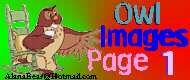 Owl Images Page 1