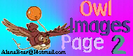 Owl Images Page 2