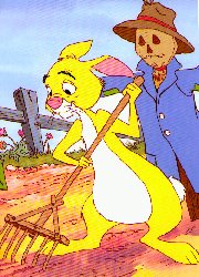 Rabbit In The Garden!