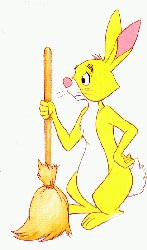 Rabbit Is Going To Do Some Cleaning!