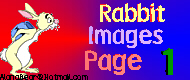 Rabbit Images Page 1!