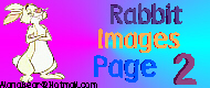 Rabbit Images Page 2!