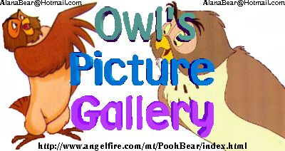 Owl's Picture Gallery!