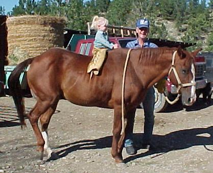 https://www.angelfire.com/mt/alpine/images/JessicaRiding3.JPG (38336 bytes)