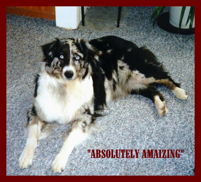 Maizie.jpg(5775 bytes)