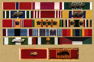 Link to Military Awards Display