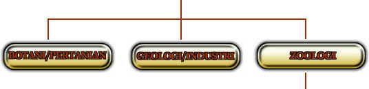 cartasa.jpg (8816 bytes)