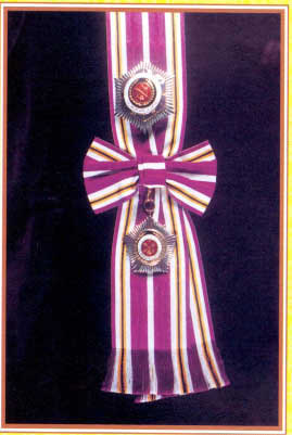 dsmt.jpg (18555 bytes)