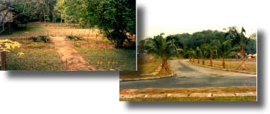 fasa2.jpg (11103 bytes)