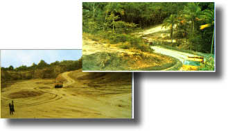 fasai.jpg (10818 bytes)