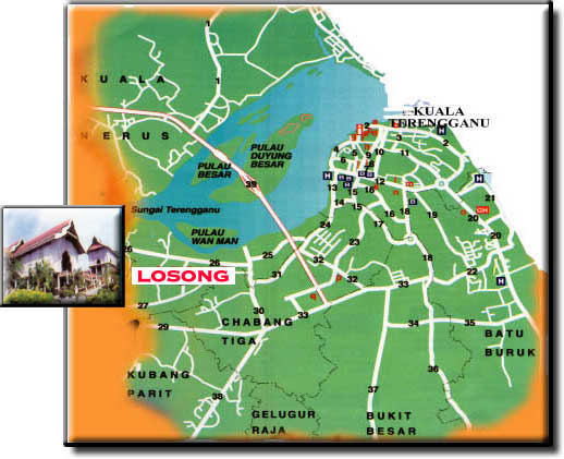 peta.jpg (40679 bytes)