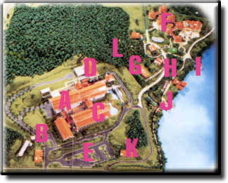 peta1.jpg (21549 bytes)