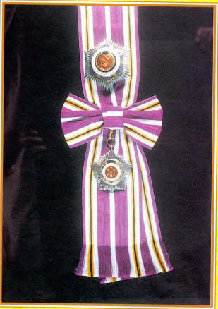 ssmt.jpg (23275 bytes)