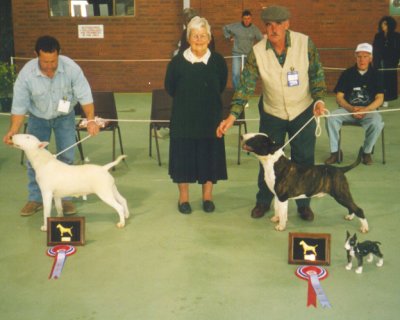 Runner Up & Best In Show