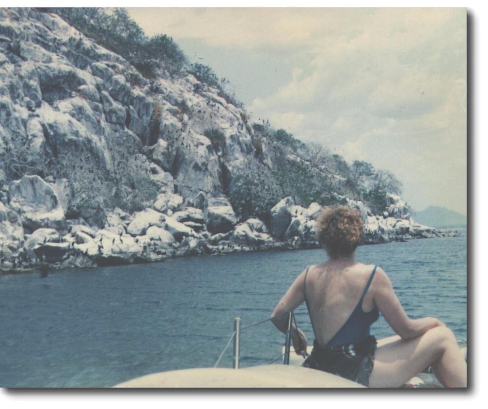 boad.jpg (192497 bytes)