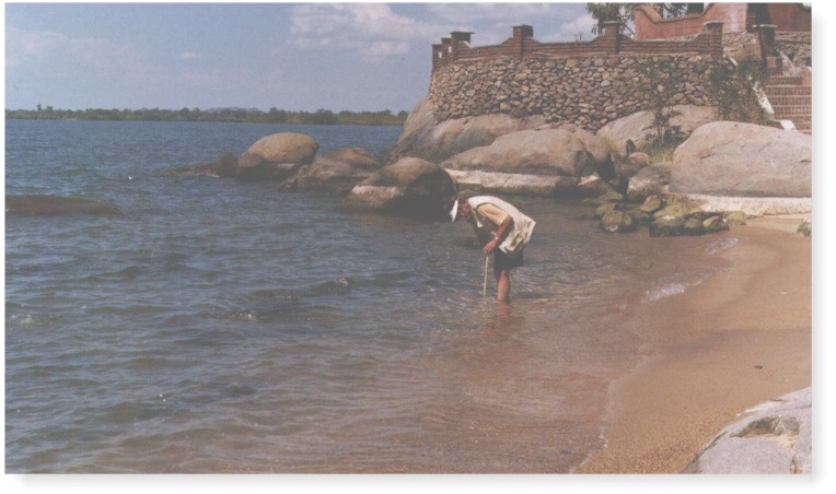 resort2.jpg (91437 bytes)