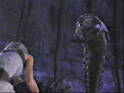 Angry insect spots Zev