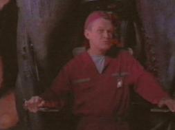 ...6 of my stomachs, 117 passageways..