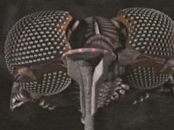 Approaching the narcolounger