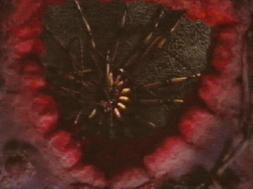 I am going to hit the web Stanley