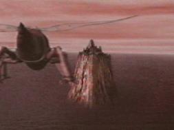 It is not known to affect the living