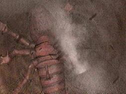 Woz is known for its sudden and intense storms