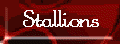 Stallions