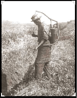 Trabajos de limpieza y fumigaci�n para evitar la malaria. Foto Canal de Panam� web page