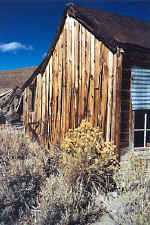 bodie2.jpg (32583 bytes)