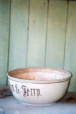 bowel.jpg (19209 bytes)