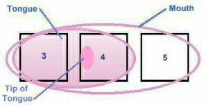 Right Tongue Block Three Holes