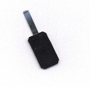 Image courtesy of Jens Bunge