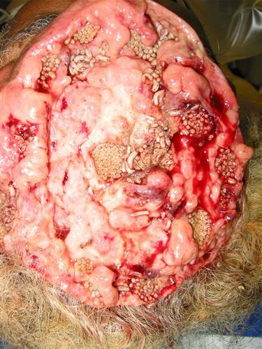 Journey to the Center of the Universe!