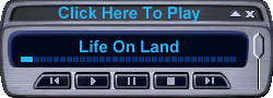 Play Life On Land