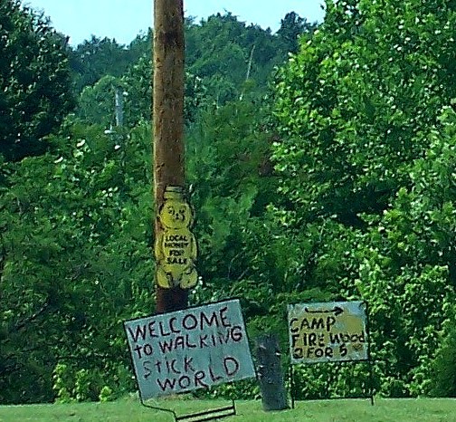 Seen on the road to Marysville