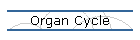 Organ Cycle