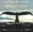 Whales-Alive