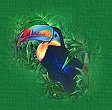 Toucan