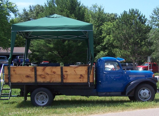 Got it made in the shade