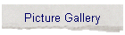 Picture Gallery
