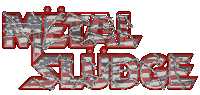 Metal Sludge