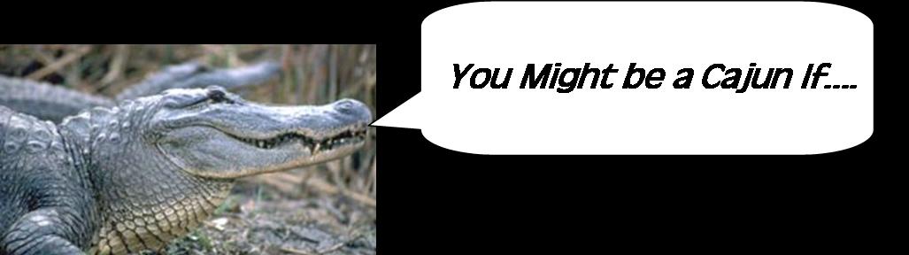 Cajun Gator