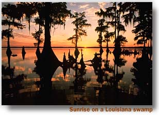 Sunrise Over The Bayou